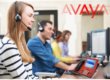 avaya-buying-tips-in-kenya